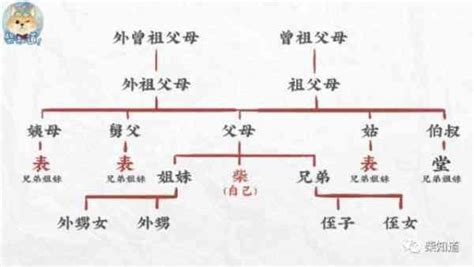 堂表怎麼分